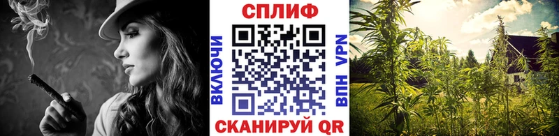 Купить закладку ГАШИШ  МЕТАМФЕТАМИН  АМФЕТАМИН  МЕФ  КОКАИН  Бошки Шишки  Зверево