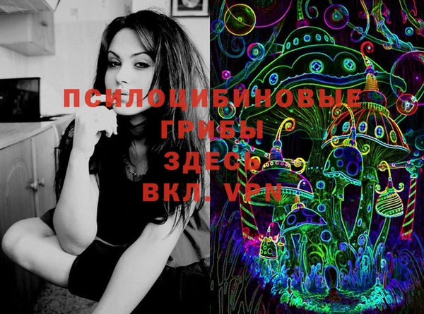 молекула духа Навашино